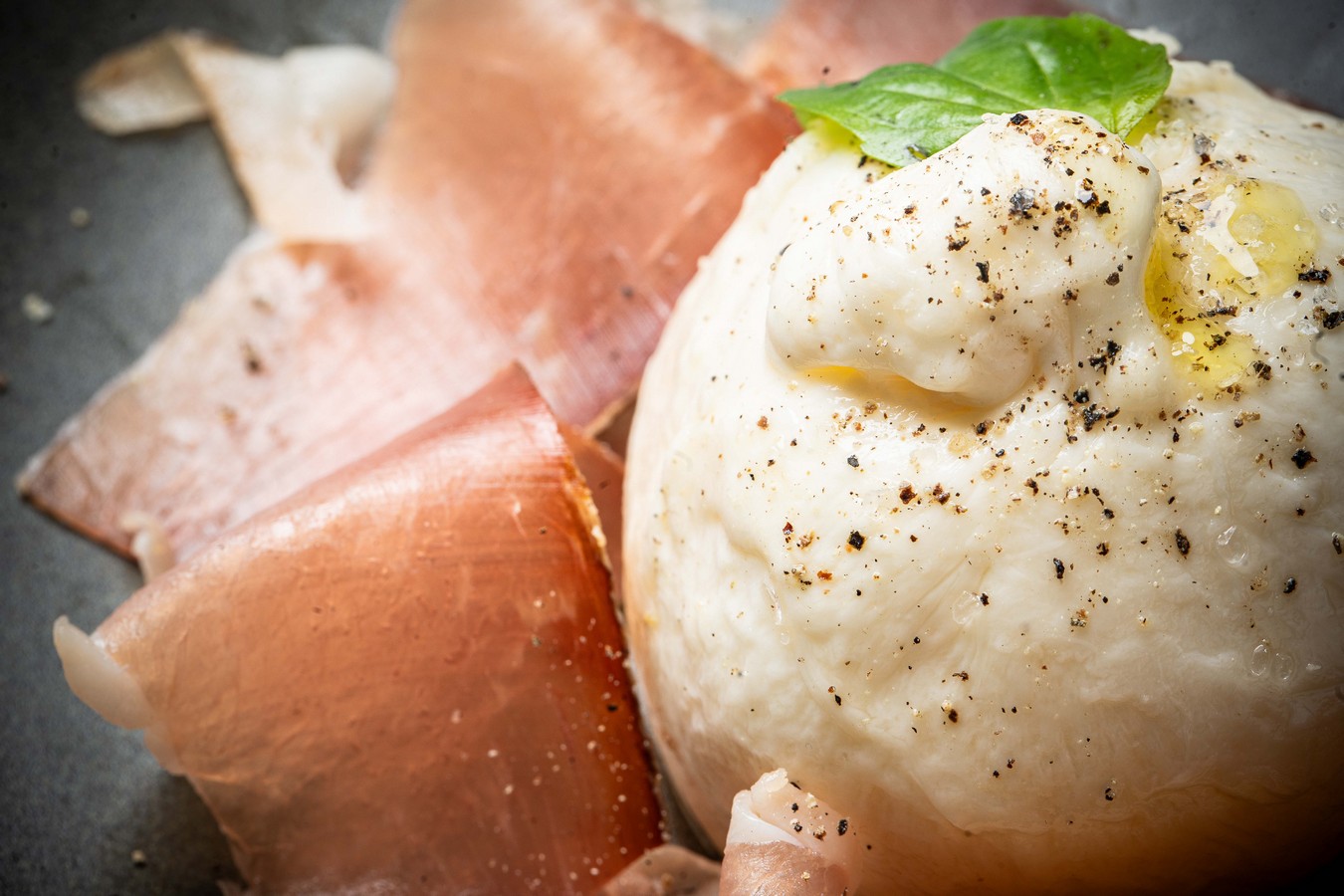 DR 261 Burrata e Crudo